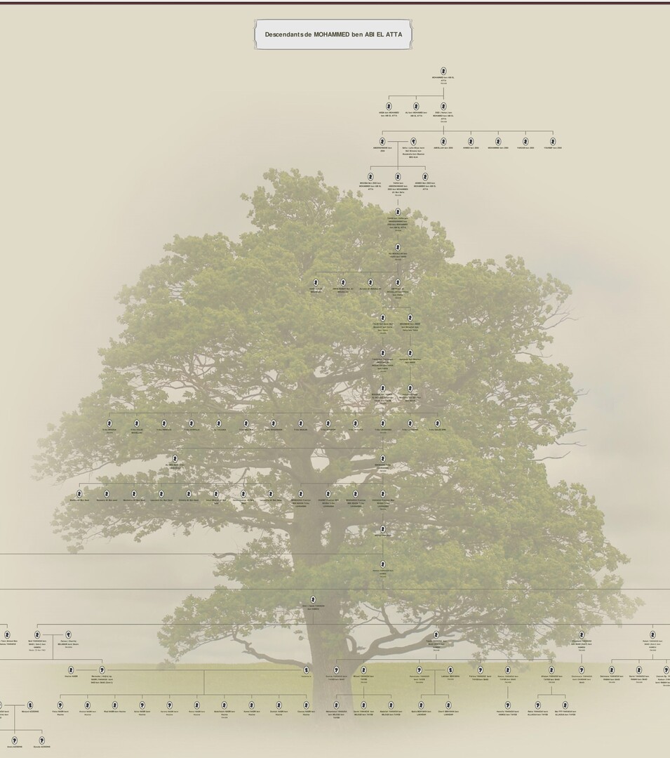 Généalogie famille YAHIAOUI uniquement ( historique+ arbre graphique+ arbre texte)