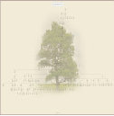dzbiblio_new_0525001002.jpg