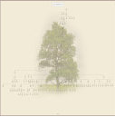 dzbiblio_new_0525001003.jpg