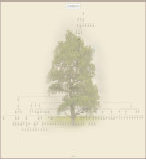 dzbiblio_new_0525002001.jpg
